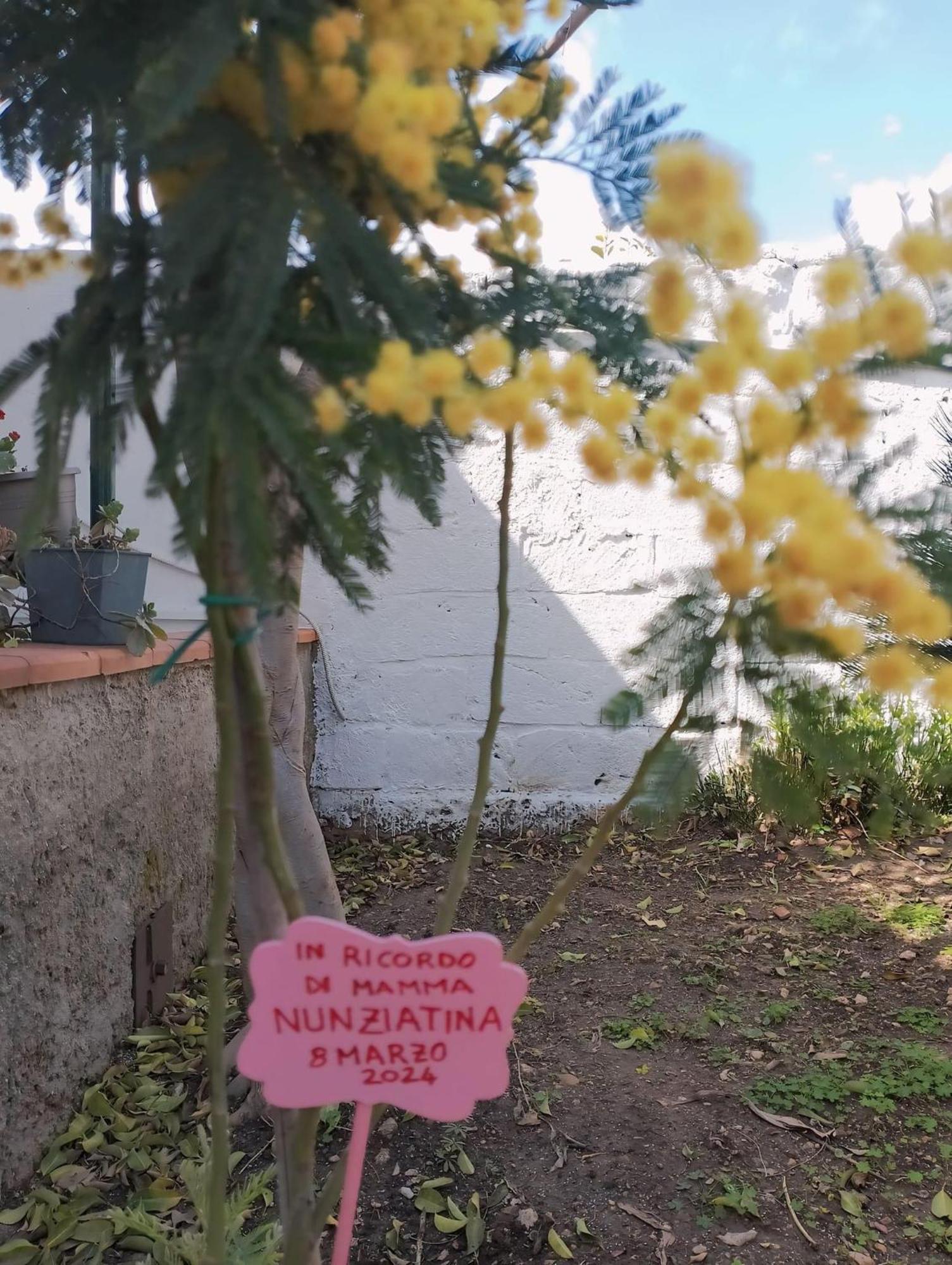Nel Giardino Di Nunziatina Syracuse Exterior foto